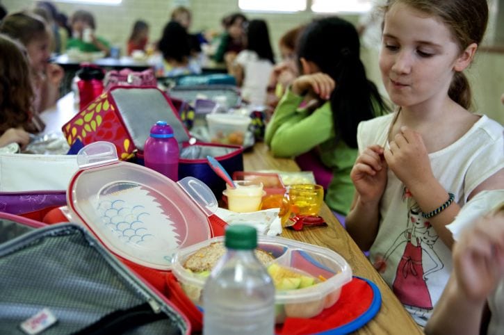 young-school-girl-was-eyeing-her-classmates-homemade-lunch-725x482
