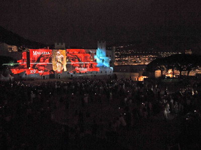 Sound and light on the facade of the Prince's Palace in Monaco