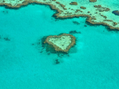 Australian coral reef