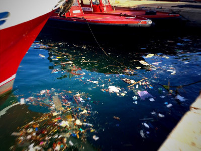 Litter in water in marina