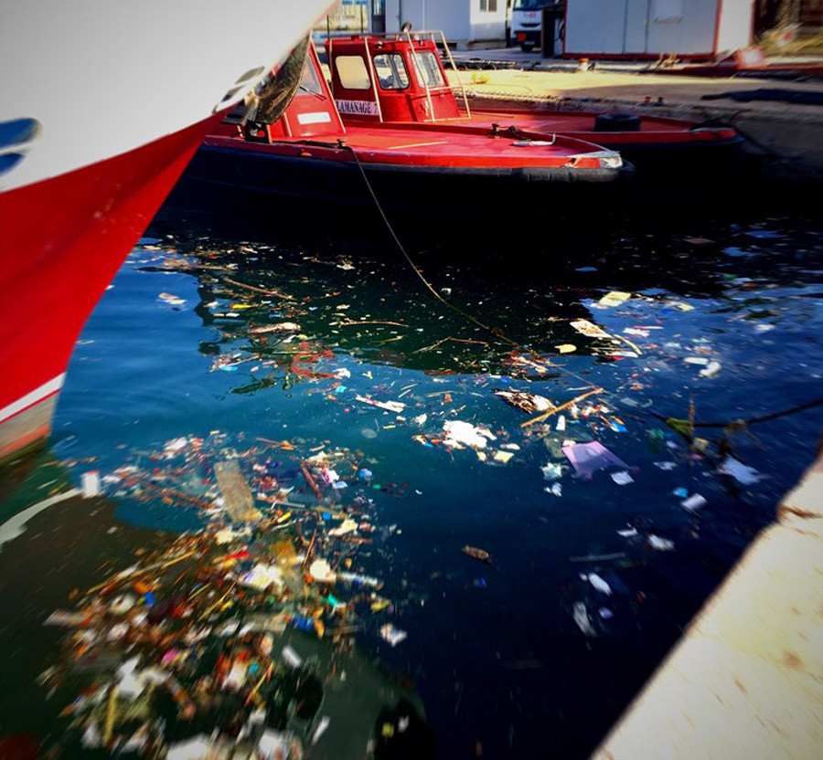 Litter in water in marina