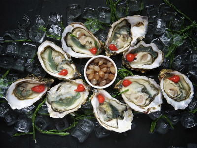 Oysters