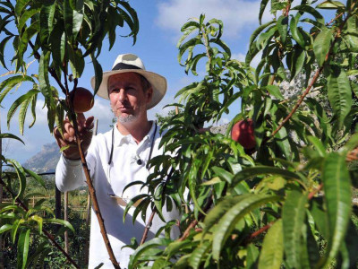 Paolo Sari, Michelin-starred chef from the Monte-Carlo Beach, in his vegetable garden ©Government Communication Department/Manuel Vitali