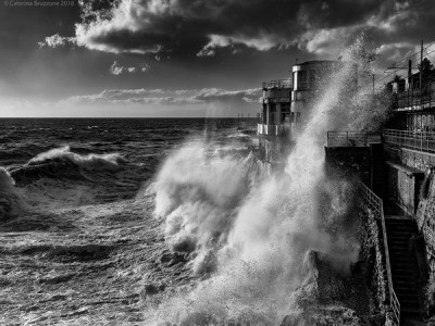 "The questions of Nervi" by Caterina Bruzzone.
