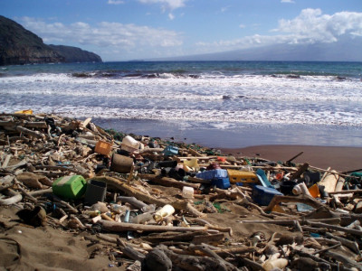 plastic rubbish washed onto a beach