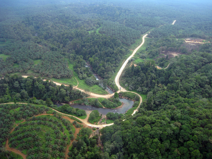 monaco-life-monte-carlo-conservation-riparian-and-oil-palm-aerial-KSI-sumatra