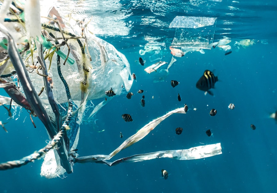 Lethal combination: warming seas and plastics - Monaco Life