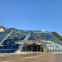monaco age oncology