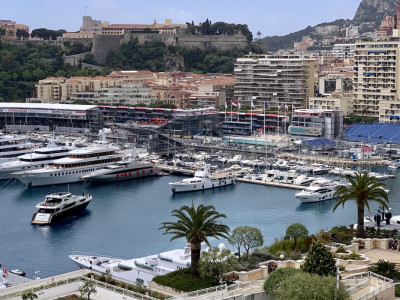 private sector monaco