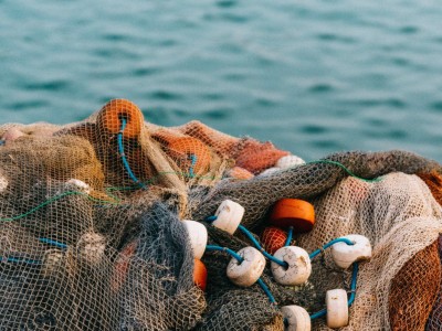 fishing Mediterranean