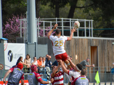 as monaco rugby