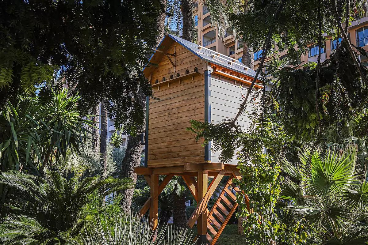 Monaco to install humane pigeon loft in Fontvieille to control urban populations