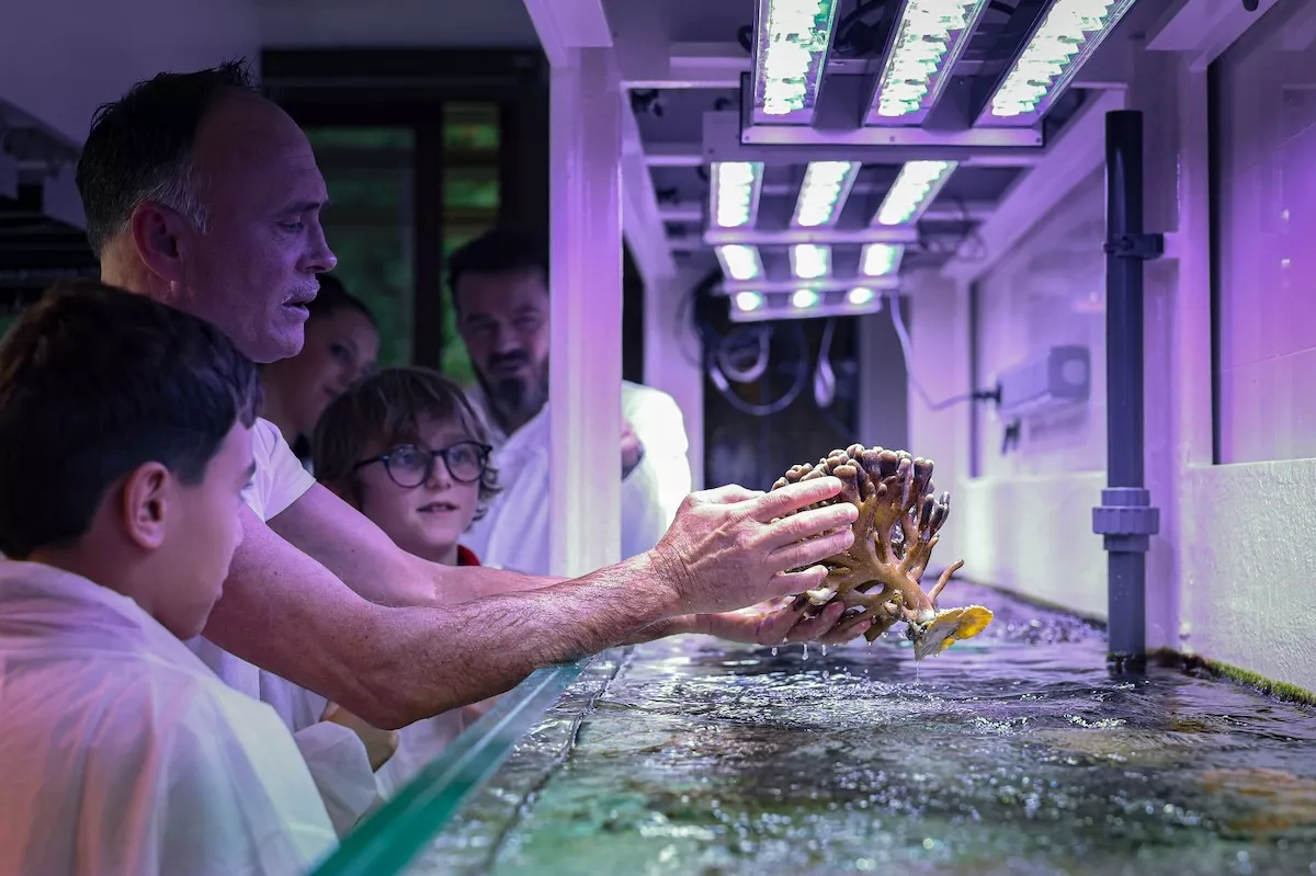 Monaco students dive into coral conservation with new AMPN and CSM partnership