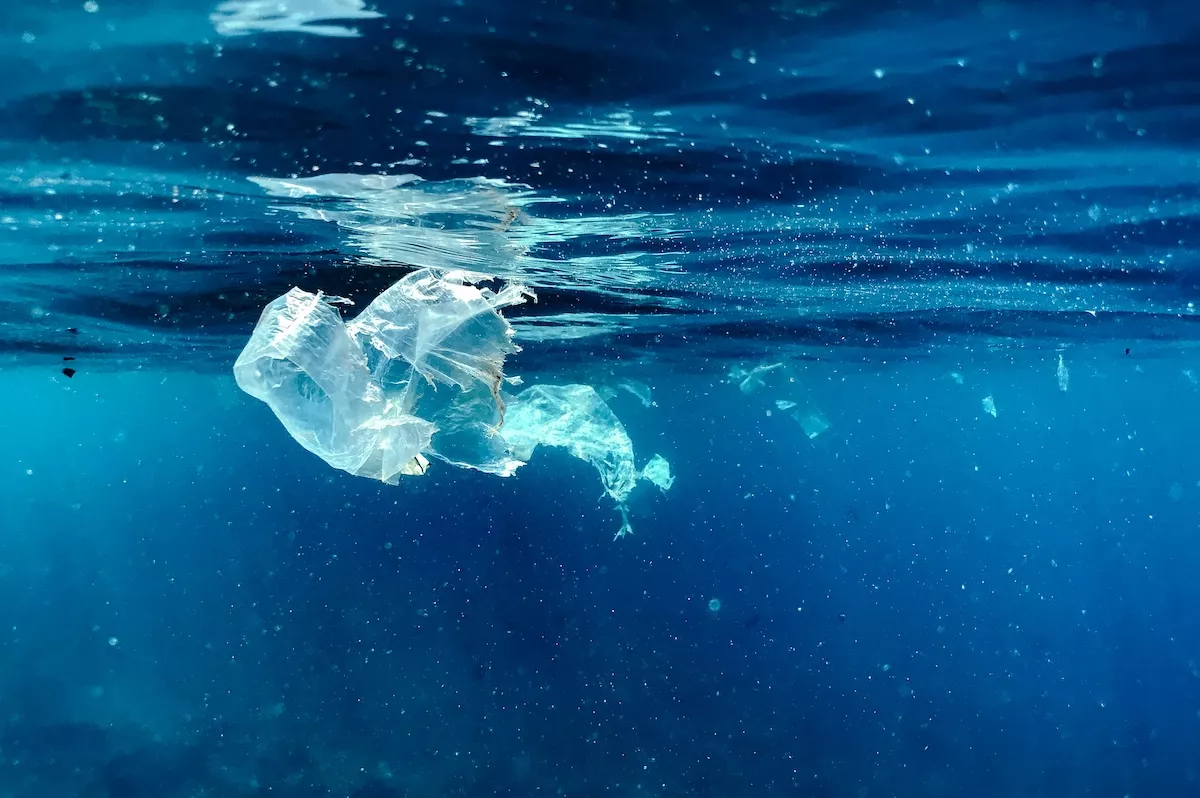 Alpes-Maritimes firm RedFX joins global ocean cleanup initiative